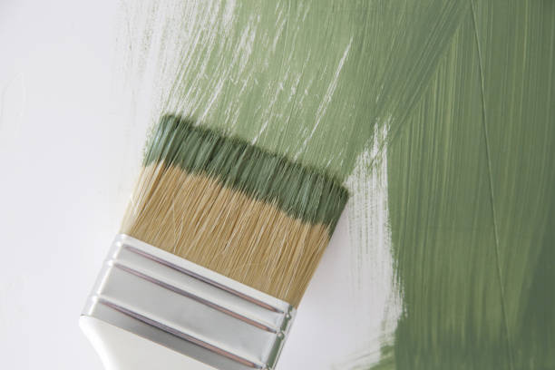 Best Basement Mold Removal  in Big Lake, TX