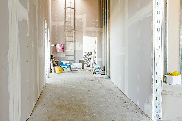 Best Air Quality Testing for Mold Spores  in Big Lake, TX